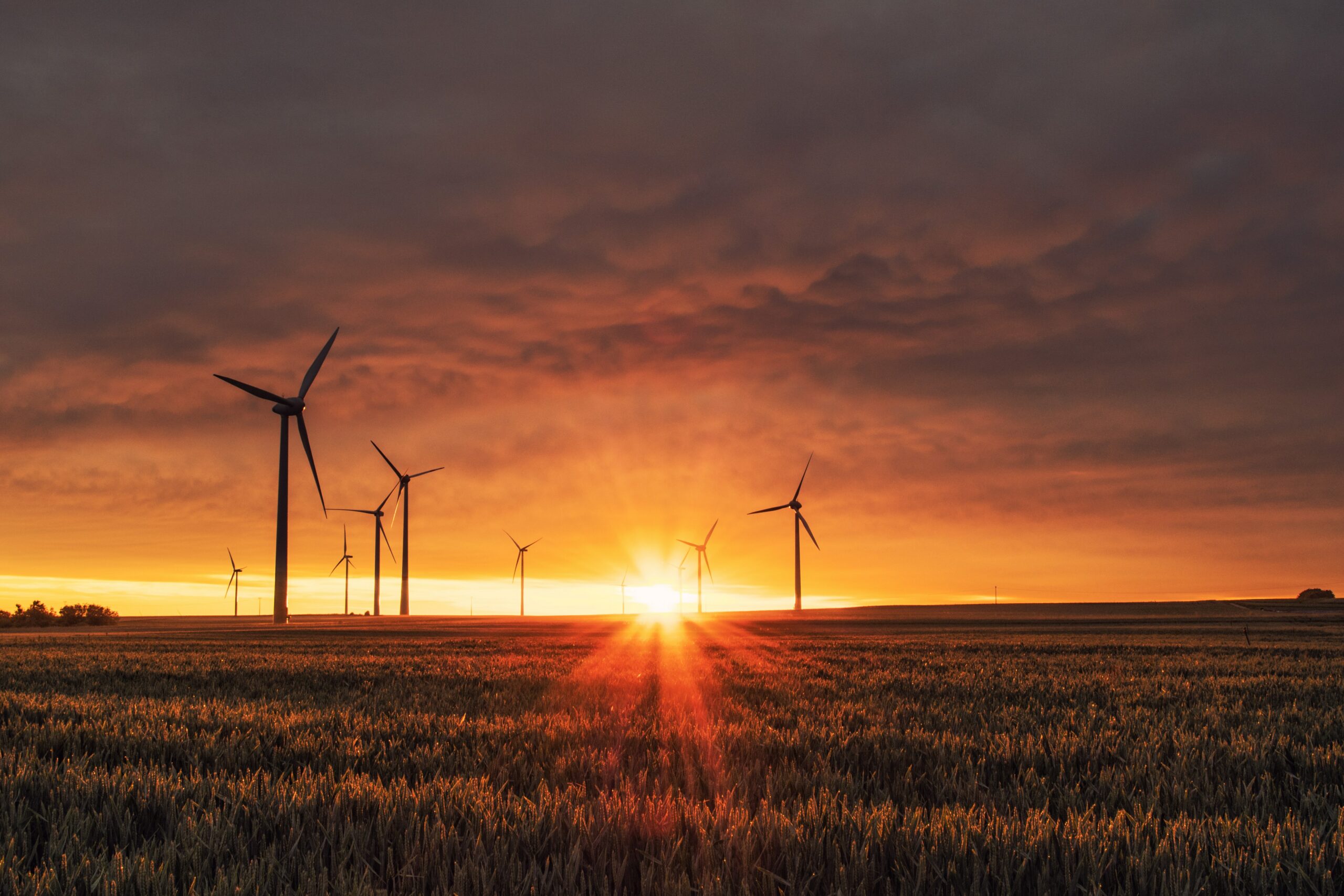 How Wind Turbines are Providing a Safety Net for Rural Farmers